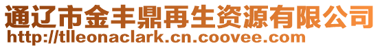 通遼市金豐鼎再生資源有限公司