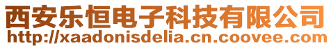 西安樂恒電子科技有限公司