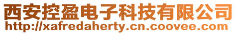 西安控盈電子科技有限公司