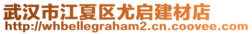 武漢市江夏區尤啟建材店
