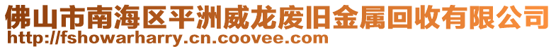 佛山市南海區(qū)平洲威龍廢舊金屬回收有限公司