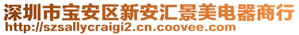 深圳市寶安區(qū)新安匯景美電器商行