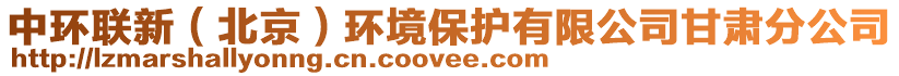 中環(huán)聯(lián)新（北京）環(huán)境保護有限公司甘肅分公司