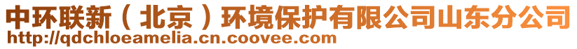 中環(huán)聯(lián)新（北京）環(huán)境保護(hù)有限公司山東分公司