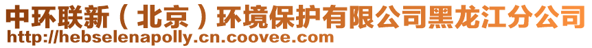 中環(huán)聯(lián)新（北京）環(huán)境保護(hù)有限公司黑龍江分公司