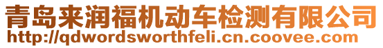 青島來潤福機動車檢測有限公司