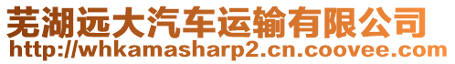 蕪湖遠大汽車運輸有限公司
