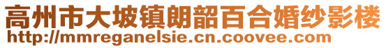 高州市大坡鎮(zhèn)朗韶百合婚紗影樓