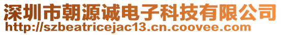 深圳市朝源誠電子科技有限公司