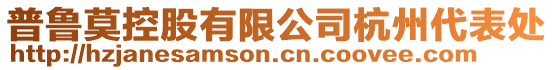 普魯莫控股有限公司杭州代表處