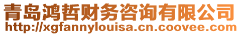 青島鴻哲財(cái)務(wù)咨詢有限公司