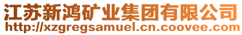 江蘇新鴻礦業(yè)集團(tuán)有限公司