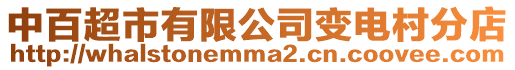 中百超市有限公司變電村分店