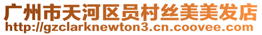 廣州市天河區(qū)員村絲美美發(fā)店