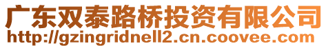廣東雙泰路橋投資有限公司