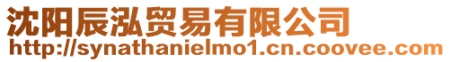 沈陽辰泓貿(mào)易有限公司