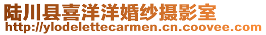 陸川縣喜洋洋婚紗攝影室