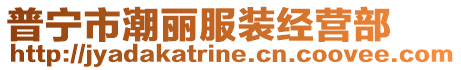普寧市潮麗服裝經營部