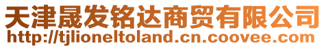 天津晟發銘達商貿有限公司