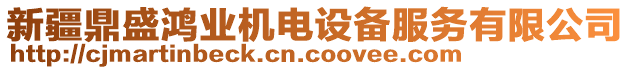 新疆鼎盛鴻業(yè)機(jī)電設(shè)備服務(wù)有限公司