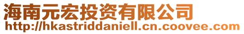 海南元宏投資有限公司