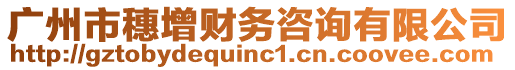 廣州市穗增財務(wù)咨詢有限公司