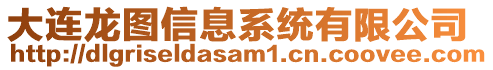 大連龍圖信息系統(tǒng)有限公司