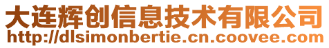 大連輝創(chuàng)信息技術(shù)有限公司