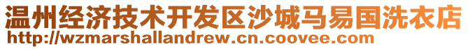 溫州經(jīng)濟(jì)技術(shù)開(kāi)發(fā)區(qū)沙城馬易國(guó)洗衣店