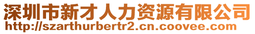 深圳市新才人力資源有限公司