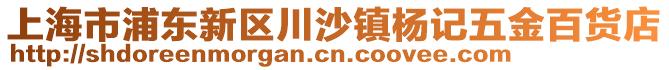 上海市浦東新區(qū)川沙鎮(zhèn)楊記五金百貨店