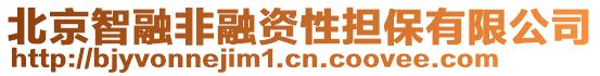 北京智融非融資性擔(dān)保有限公司