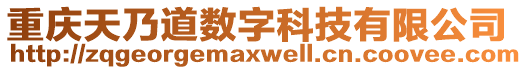 重慶天乃道數(shù)字科技有限公司