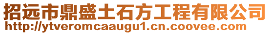 招遠市鼎盛土石方工程有限公司