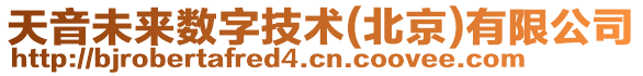 天音未來數(shù)字技術(shù)(北京)有限公司