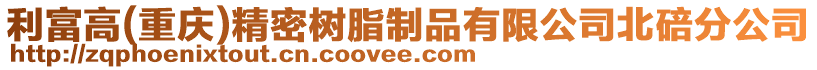 利富高(重慶)精密樹脂制品有限公司北碚分公司