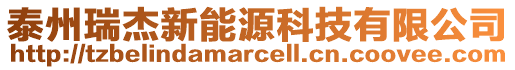 泰州瑞杰新能源科技有限公司