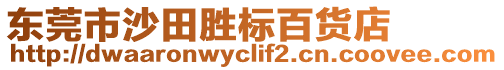 東莞市沙田勝標百貨店