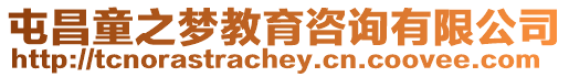 屯昌童之夢教育咨詢有限公司