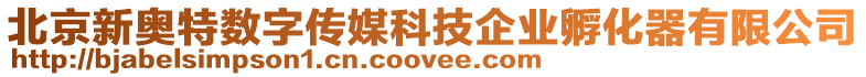 北京新奧特?cái)?shù)字傳媒科技企業(yè)孵化器有限公司