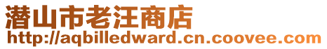 潛山市老汪商店
