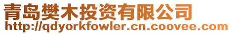 青島樊木投資有限公司