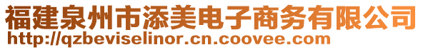 福建泉州市添美電子商務有限公司