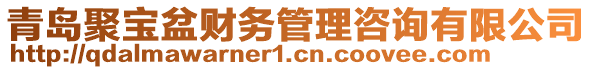 青島聚寶盆財務(wù)管理咨詢有限公司