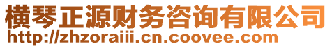 橫琴正源財(cái)務(wù)咨詢有限公司