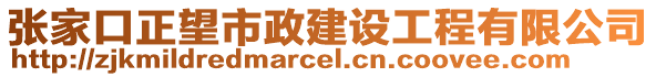 張家口正望市政建設(shè)工程有限公司