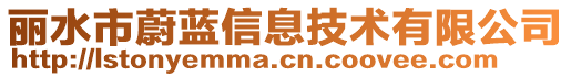 麗水市蔚藍(lán)信息技術(shù)有限公司