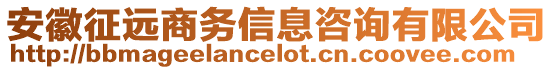 安徽征遠商務(wù)信息咨詢有限公司