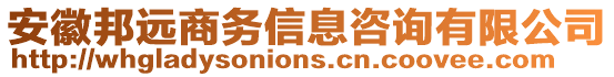 安徽邦遠(yuǎn)商務(wù)信息咨詢有限公司