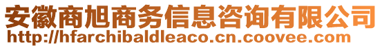 安徽商旭商務(wù)信息咨詢有限公司